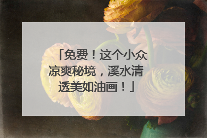 免费！这个小众凉爽秘境，溪水清透美如油画！