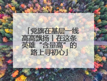 党旗在基层一线高高飘扬丨在这条英雄“含量高”的路上寻初心