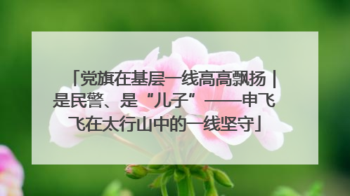 党旗在基层一线高高飘扬｜是民警、是“儿子”——申飞飞在太行山中的一线坚守