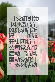 党旗引领风帆劲 清风廉动启新程——新城开集团新宇公司党支部启动“清风廉动党旗红”系列活动