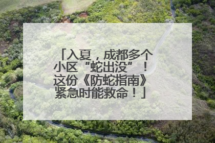 入夏，成都多个小区“蛇出没”！这份《防蛇指南》紧急时能救命！