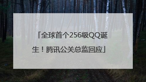 全球首个256级QQ诞生！腾讯公关总监回应