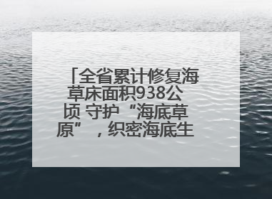 全省累计修复海草床面积938公顷 守护“海底草原”，织密海底生态“一张网”