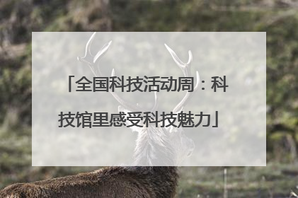 全国科技活动周：科技馆里感受科技魅力