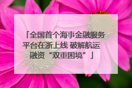 全国首个海事金融服务平台在浙上线 破解航运融资“双重困境”