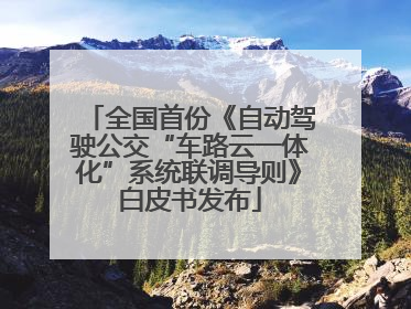 全国首份《自动驾驶公交“车路云一体化”系统联调导则》白皮书发布