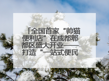 全国首家“帅猫便利店”在成都郫都区盛大开业——打造“一站式便民服务”新标杆
