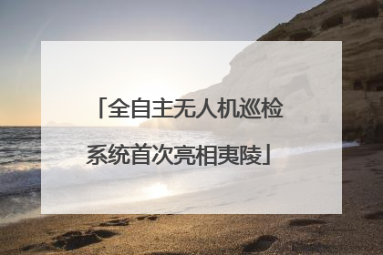 全自主无人机巡检系统首次亮相夷陵