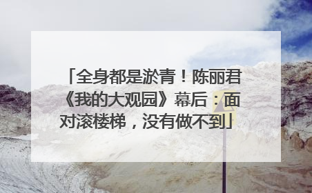 全身都是淤青！陈丽君《我的大观园》幕后：面对滚楼梯，没有做不到