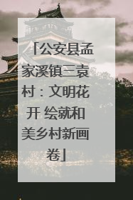 公安县孟家溪镇三袁村：文明花开 绘就和美乡村新画卷