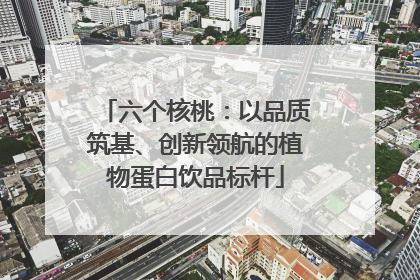 六个核桃：以品质筑基、创新领航的植物蛋白饮品标杆