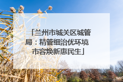 兰州市城关区城管局：精管细治优环境 市容焕新惠民生