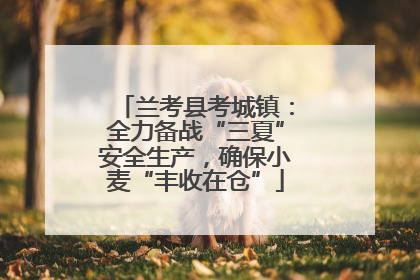 兰考县考城镇：全力备战“三夏”安全生产，确保小麦“丰收在仓”