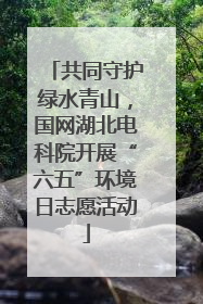 共同守护绿水青山，国网湖北电科院开展“六五”环境日志愿活动