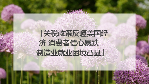 关税政策反噬美国经济 消费者信心暴跌 制造业就业困境凸显