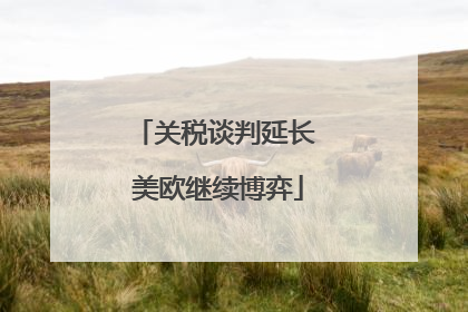 关税谈判延长 美欧继续博弈