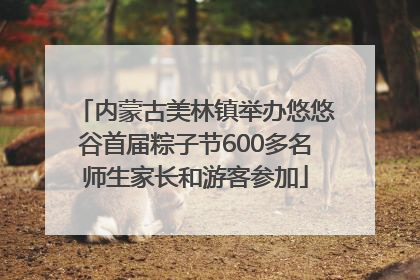 内蒙古美林镇举办悠悠谷首届粽子节600多名师生家长和游客参加