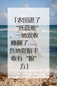 农田进了“托管班”、一地双收赚翻了……各地夏粮丰收有“粮”方