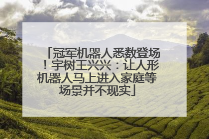 冠军机器人悉数登场！宇树王兴兴：让人形机器人马上进入家庭等场景并不现实