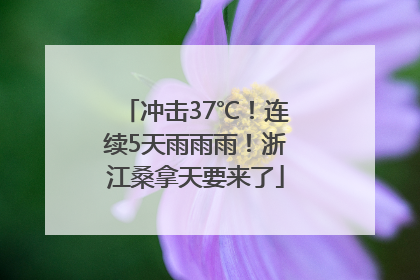 冲击37℃！连续5天雨雨雨！浙江桑拿天要来了