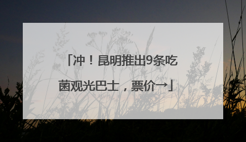 冲！昆明推出9条吃菌观光巴士，票价→