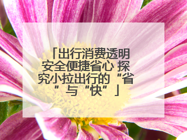 出行消费透明 安全便捷省心 探究小拉出行的“省”与“快”