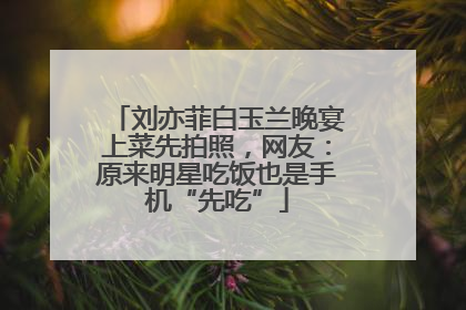 刘亦菲白玉兰晚宴上菜先拍照，网友：原来明星吃饭也是手机“先吃”