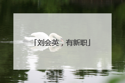 刘会英，有新职
