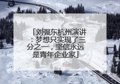 刘强东杭州演讲：梦想只实现了三分之一，坚信永远是青年企业家
