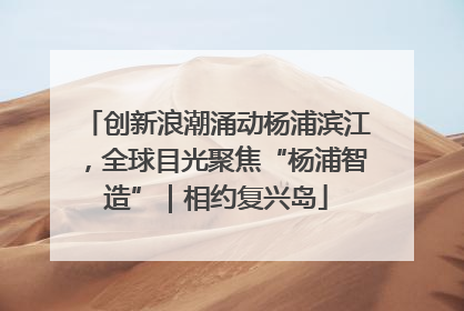 创新浪潮涌动杨浦滨江，全球目光聚焦“杨浦智造”｜相约复兴岛