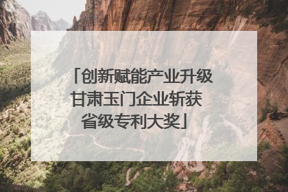 创新赋能产业升级 甘肃玉门企业斩获省级专利大奖