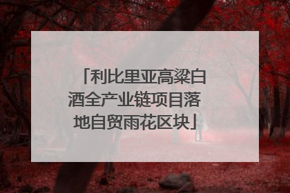 利比里亚高粱白酒全产业链项目落地自贸雨花区块