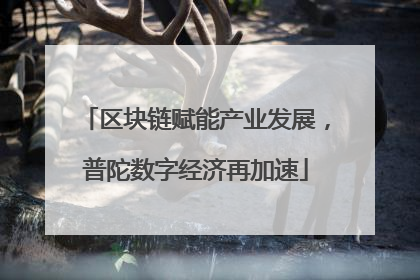 区块链赋能产业发展，普陀数字经济再加速