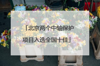 北京两个中轴保护项目入选全国十佳