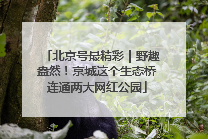 北京号最精彩｜野趣盎然！京城这个生态桥连通两大网红公园