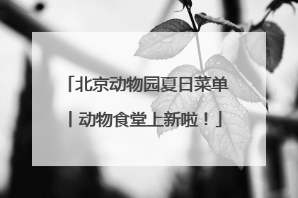 北京动物园夏日菜单丨动物食堂上新啦！