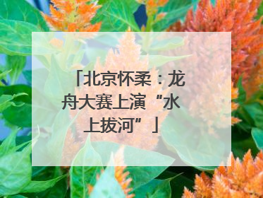 北京怀柔：龙舟大赛上演“水上拔河”