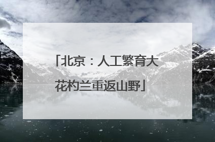 北京：人工繁育大花杓兰重返山野