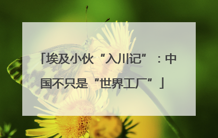埃及小伙“入川记”：中国不只是“世界工厂”