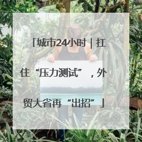 城市24小时｜扛住“压力测试”，外贸大省再“出招”