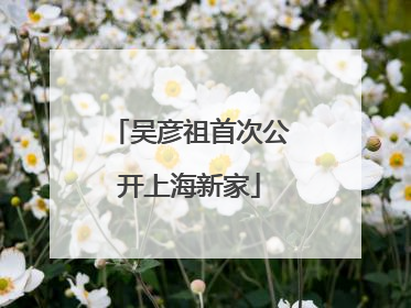吴彦祖首次公开上海新家