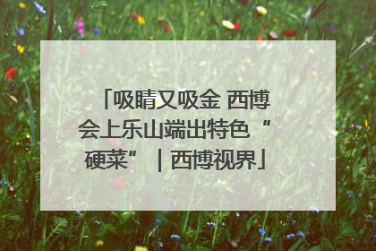吸睛又吸金 西博会上乐山端出特色“硬菜”｜西博视界
