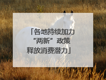 各地持续加力“两新”政策 释放消费潜力