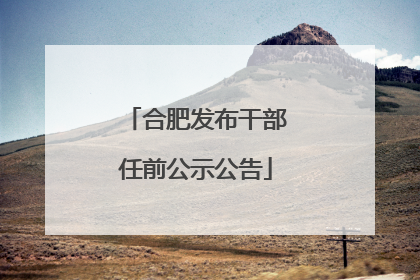 合肥发布干部任前公示公告