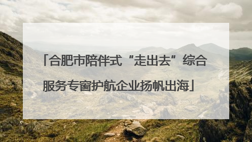 合肥市陪伴式“走出去”综合服务专窗护航企业扬帆出海