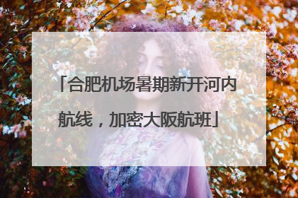 合肥机场暑期新开河内航线，加密大阪航班