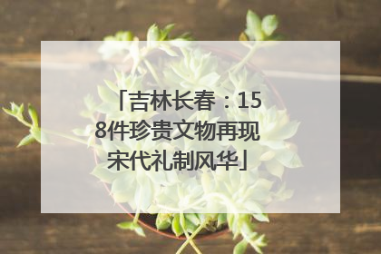 吉林长春：158件珍贵文物再现宋代礼制风华