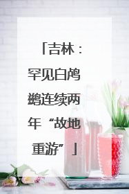 吉林：罕见白鸬鹚连续两年“故地重游”