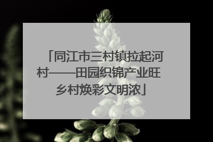 同江市三村镇拉起河村——田园织锦产业旺 乡村焕彩文明浓