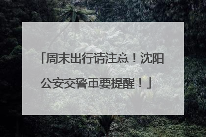 周末出行请注意！沈阳公安交警重要提醒！